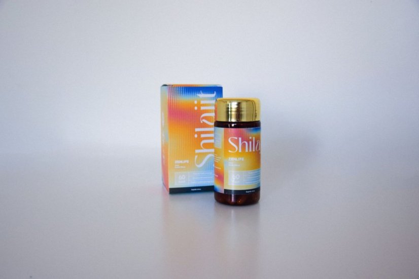 Shilajit extrakt, 500 mg, 60 kapslí