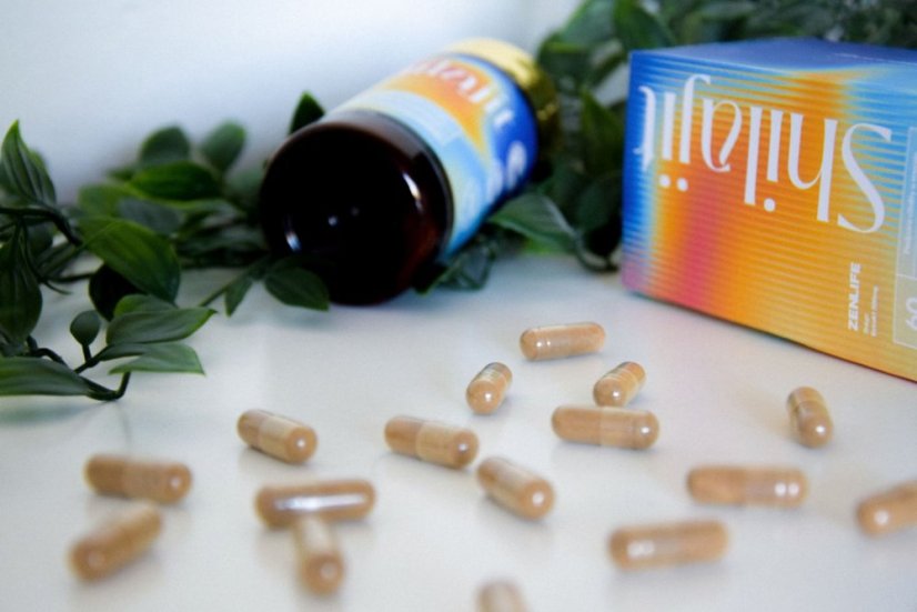 Shilajit extrakt, 500 mg, 60 kapslí